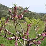 La Casetta Rosa * Tertenìa