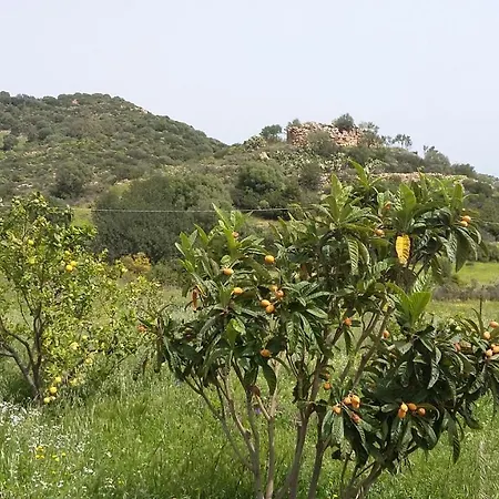 La Casetta Rosa Tertenìa