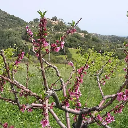 La Casetta Rosa * Tertenìa