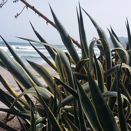 Dağ evi La Casetta Rosa *