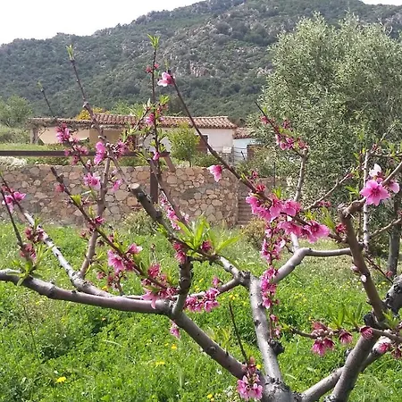La Casetta Rosa Alpehytte