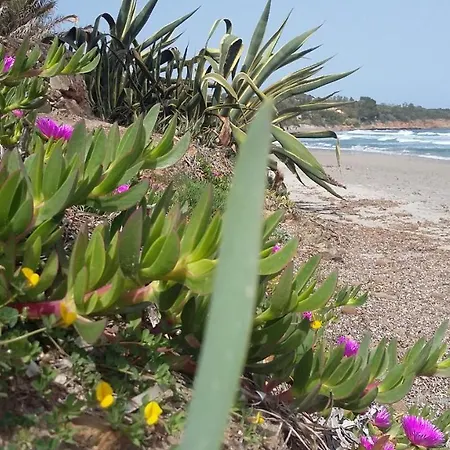 La Casetta Rosa Horská chata Tertenìa