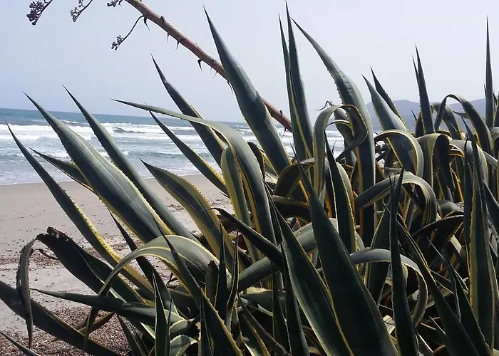 Chalet La Casetta Rosa *