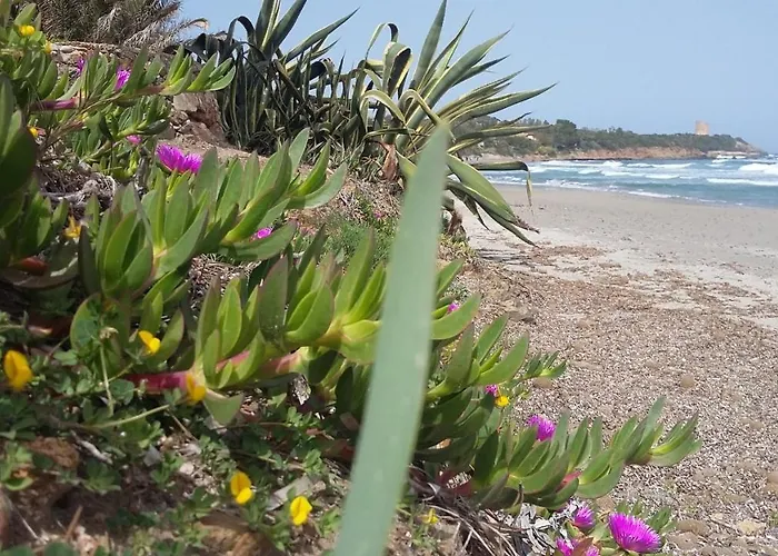 La Casetta Rosa Chalet Tertenia