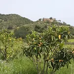 La Casetta Rosa Tertenìa