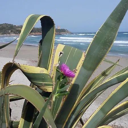 La Casetta Rosa