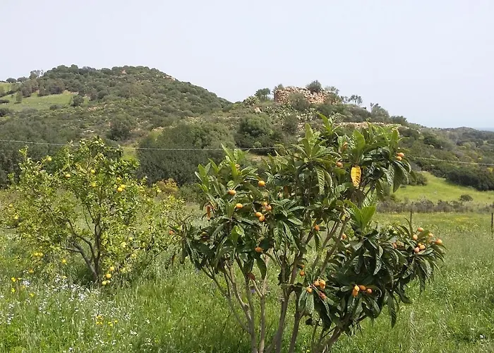 La Casetta Rosa Tertenìa