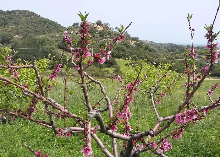 La Casetta Rosa * Tertenìa
