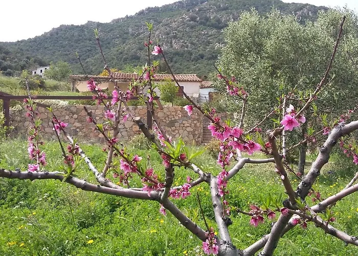 La Casetta Rosa Chalet